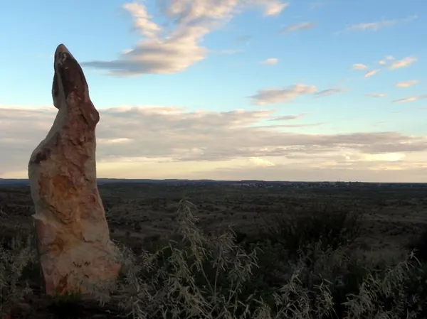 Freaks in the Outback - photo 4
