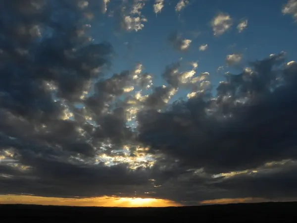Freaks in the Outback - photo 6