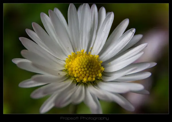 Love the Life – Part I - photo 2