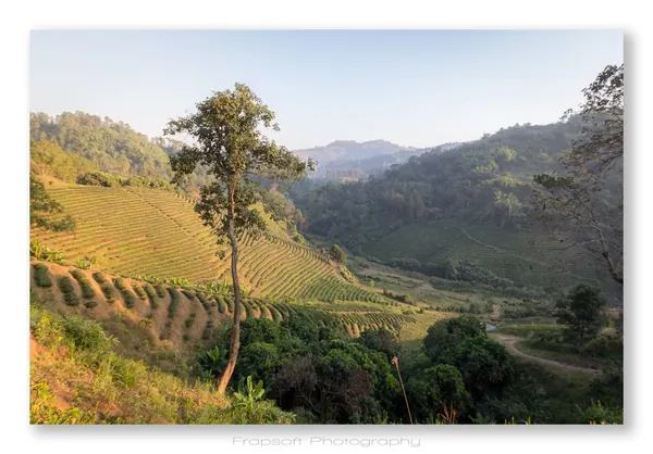 Scooter Roadtrip to Mae Salong – Part III - photo 4