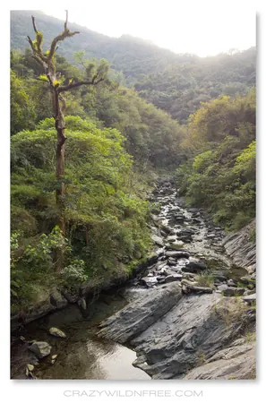 Maolin Mountains – Part II - photo 2