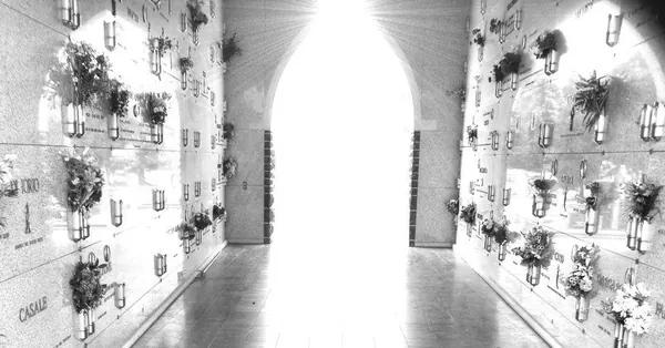 Melbourne Cemetry - photo 5