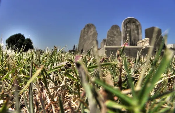 Melbourne City – Monday :: HDR - photo 4