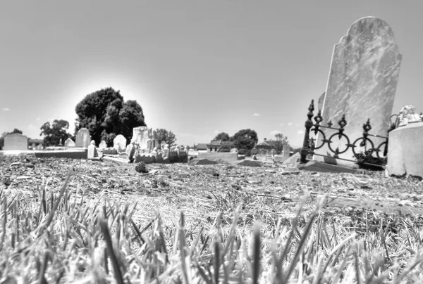 Melbourne City – Monday :: HDR - photo 5