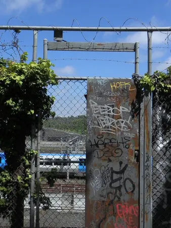 Nothing Special ... - photo 12