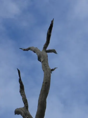 Last Night in Broken Hill - photo 3