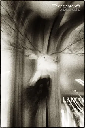 Momements – Monochrome Series I - photo 2