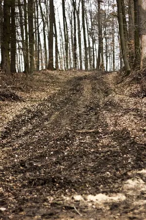 Klepsau - photo 2