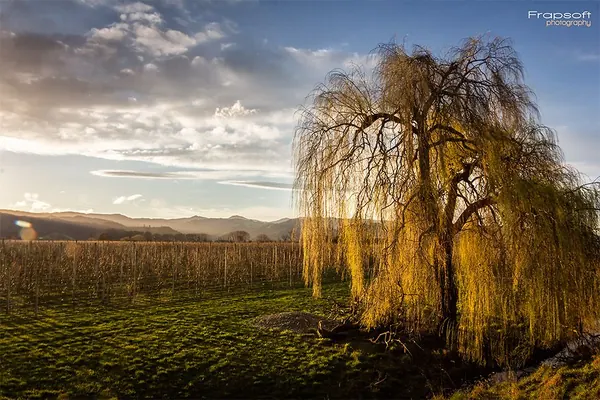 Motueka – Part I - photo 4
