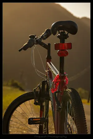 Love to Ride My New Bike - photo 2