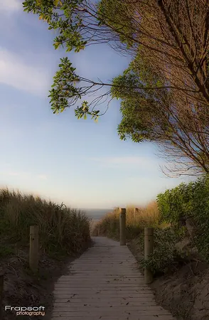 Nelson – South Island New Zeland - photo 3
