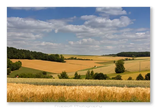 Neubronn