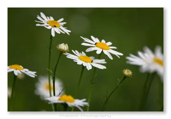 Neubronn - photo 4