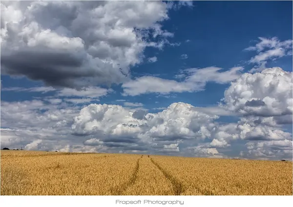 Neusaß - photo 3