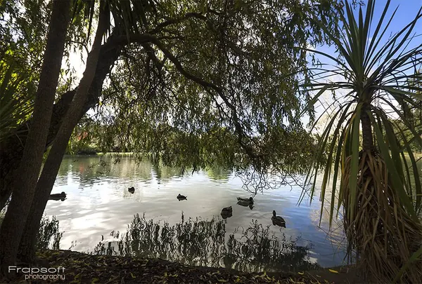 New Zealand – Auckland - photo 3