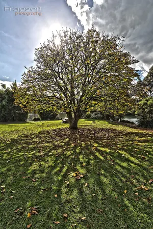 New Zealand – Auckland - photo 4