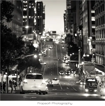 Auckland at Night Review - photo 3