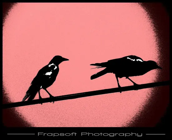 Old Pictures in New Design – Part II - photo 4