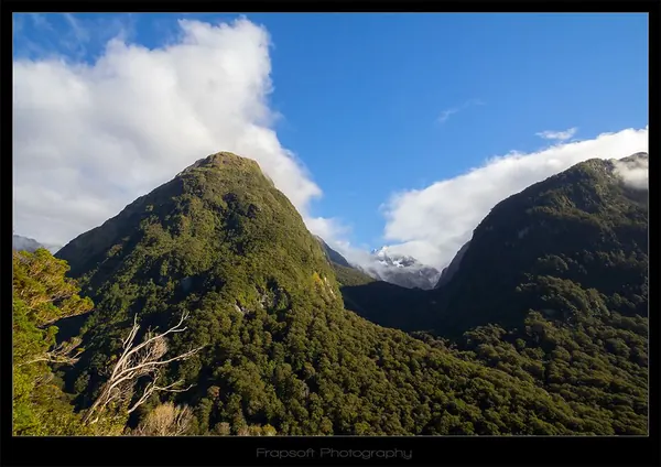 On the Way to Milford Sound - photo 2
