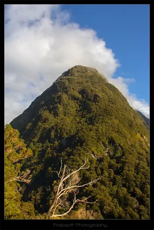 On the Way to Milford Sound - photo 3
