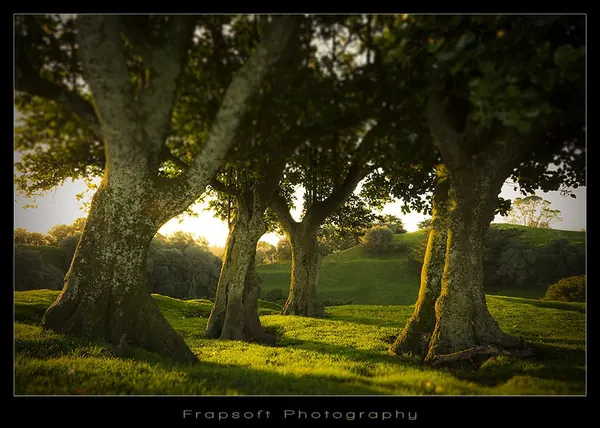 One Tree Hill Domain – Auckland - photo 2