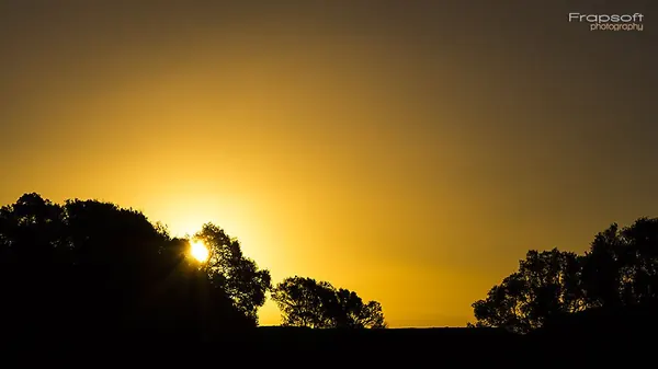 One Tree Hill Domain – Auckland - photo 3