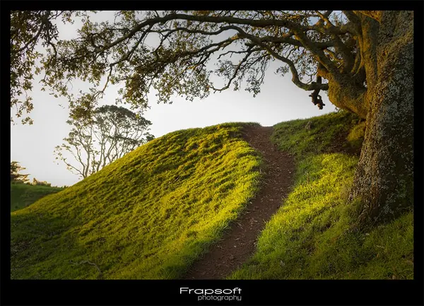 One Tree Hill Domain – Auckland - photo 4