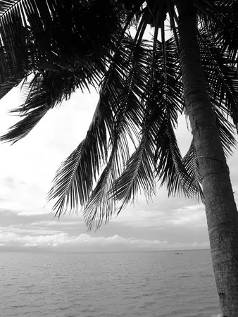 Penang Island – Part I - photo 16