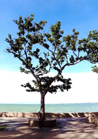 Penang Island – Part II - photo 16