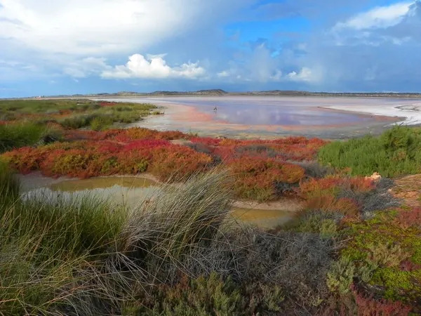 Pink Lake – Crazy :)