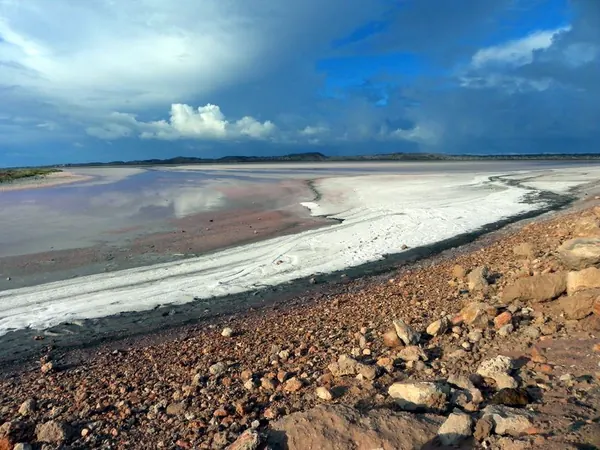 Pink Lake – Crazy :) - photo 2