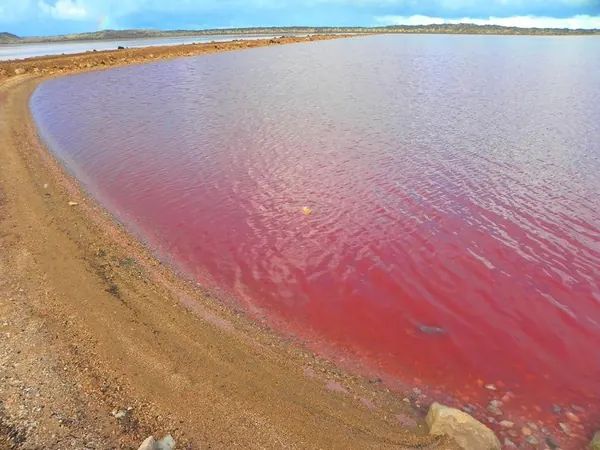 Pink Lake – Crazy :) - photo 3