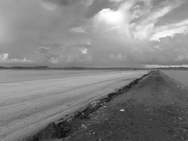 Pink Lake – Crazy :) - photo 5