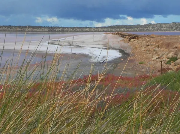 Pink Lake – Crazy :) - photo 6