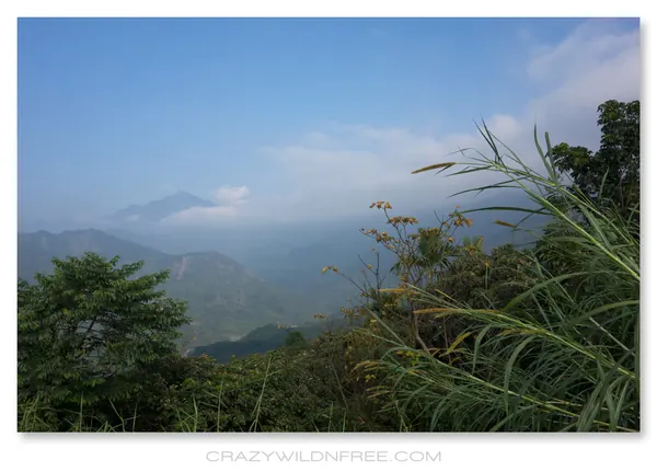 Qishan District - photo 2