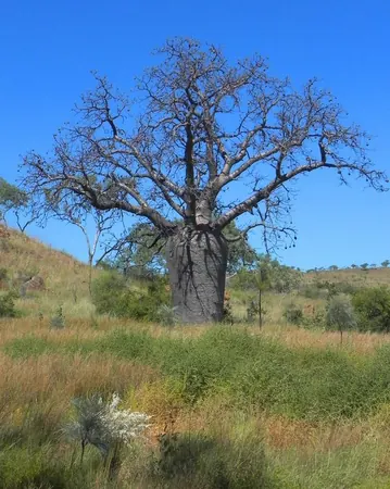 Road Trip – Day 4