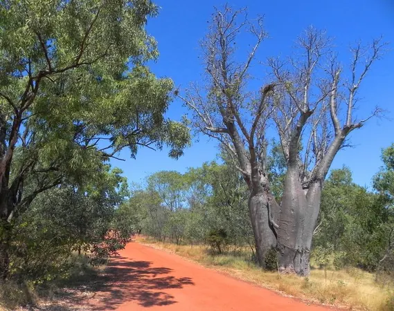 Broome – A Place to Be! - photo 4