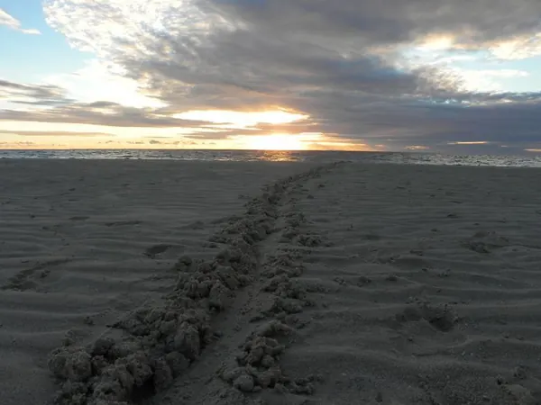 Last Day in Perth ... Tomorrow Back in the Bush! - photo 13