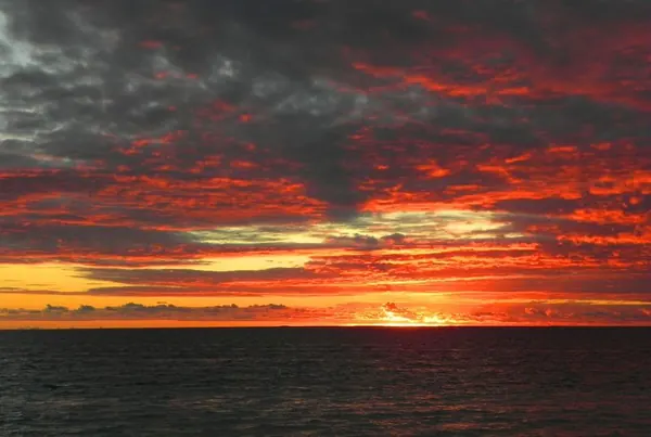 Last Day in Perth ... Tomorrow Back in the Bush! - photo 19
