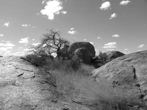 Road Trip – Day 1 - photo 10