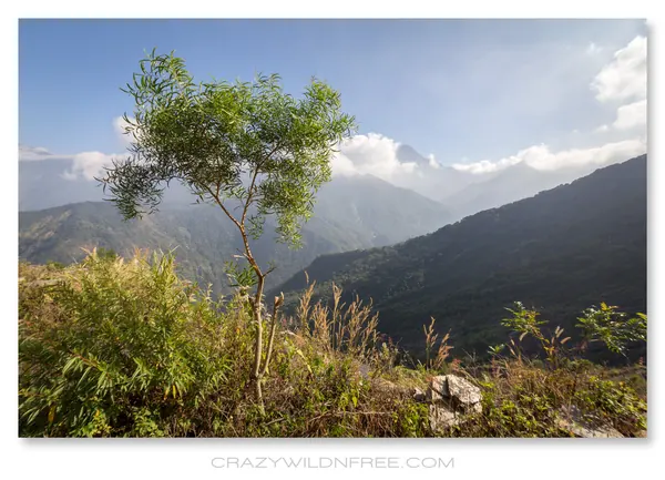 Scooter Trip and Hiking Taiwan Mountains - photo 2
