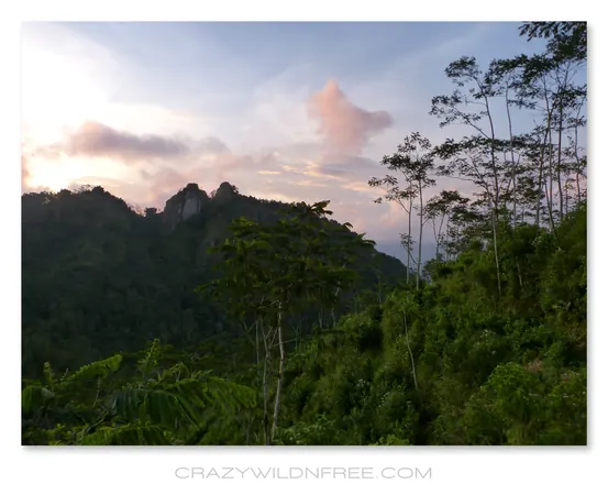 Roadtrip Java – Part III
