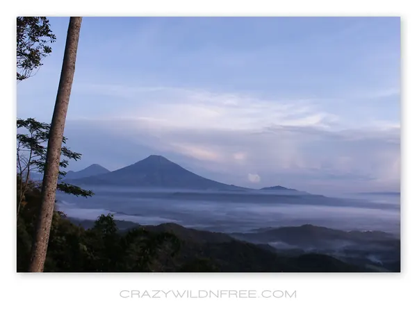Roadtrip Java – Part III - photo 4
