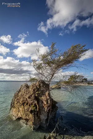 Rotorua – Part II - photo 3