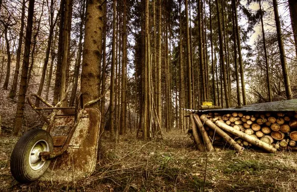 Berlichingen – Schöntal - photo 2