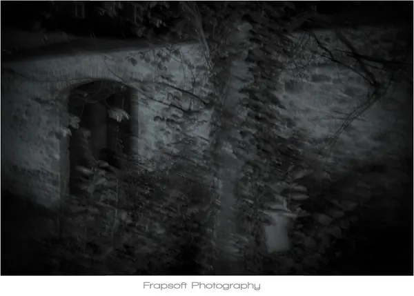 Schöntal Nights - photo 4