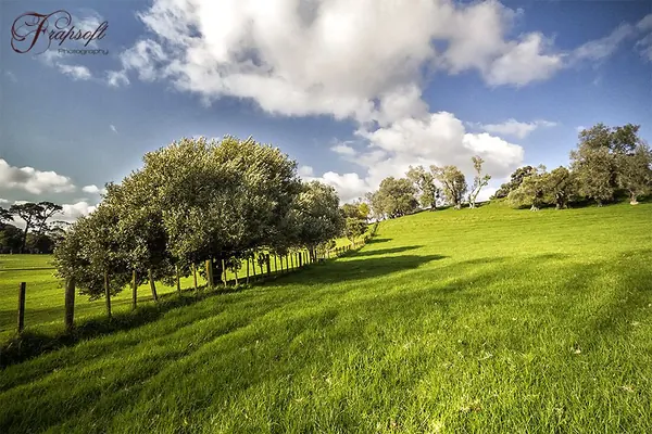 Stunning Nature in New Zealand