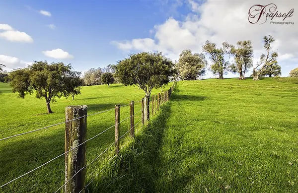 Stunning Nature in New Zealand - photo 2
