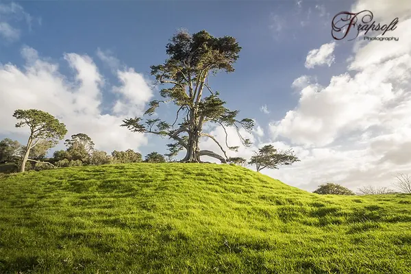 Stunning Nature in New Zealand - photo 3