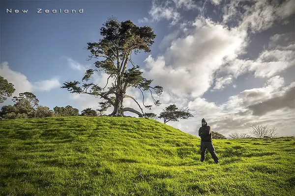 Stunning Nature in New Zealand - photo 4